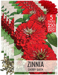 Seed Needs, Cherry Queen Zinnia Seeds - 250 Heirloom Seeds for Planting Zinnia elegans - Attracts Butterflies & Pollinators, Great Cut Flowers (5 Packs)