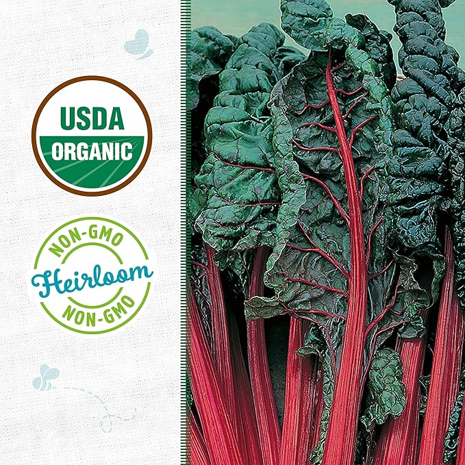Back to The Roots 100% Organic Seed Packet - Swiss Chard 'Ruby Red' 210mg