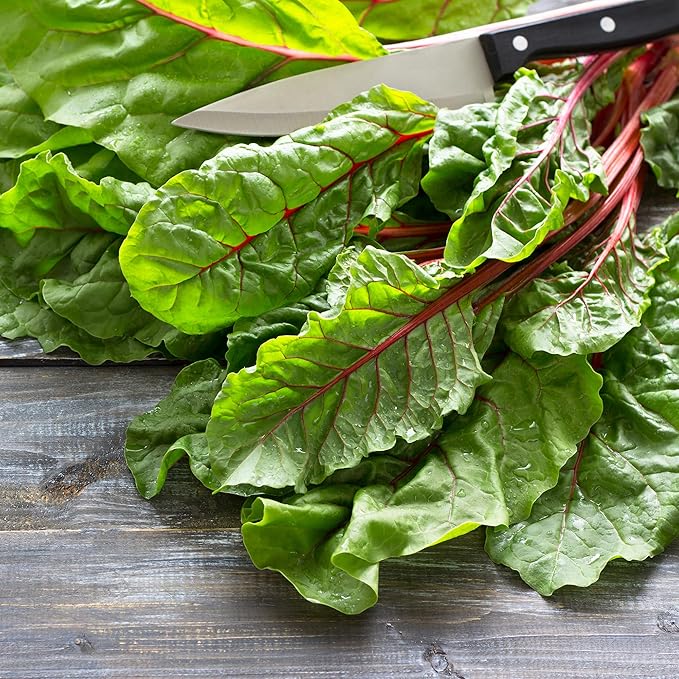 Back to The Roots 100% Organic Seed Packet - Swiss Chard 'Ruby Red' 210mg
