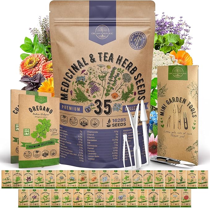 35 Medicinal & Tea Herb Seeds Variety Pack for Indoor & Outdoors. 16,335+ Non-GMO Heirloom Garden Seeds: Anise, Bergamot, Borage, Cilantro, Chamomile, Dandelion, Rosemary Seeds & More