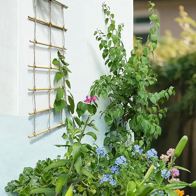 Natural Bamboo Ladder Plant Trellis 79 in L x 12 in D Ideal for Climbing Plants, Providing Reliable Support Suitable for Outdoor Walls, Gardens, patios, and Similar Settings
