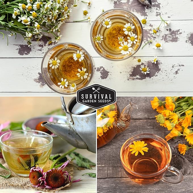 Medicinal Tea Herb Seeds for Planting | 9 Variety Pack of Heirloom, Non-GMO Herbs – Grow Herbal Teas, Natural Remedies – Home Apothecary Garden Kit – Survival Garden Seeds