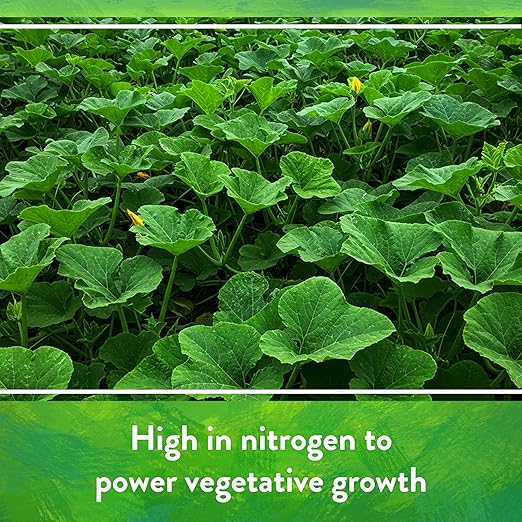 Down To Earth All Natural Fertilizers Organic Bat Guano - High Nitrogen Plant Food for Vegetative Growth 7-3-1, 2 lb