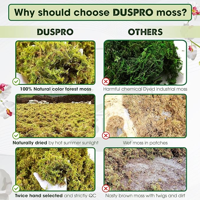 DUSPRO 2oz Dried Moss for Potted Plants, Forest Orchid Moss for Potting Mix, Sphagnum Potting Moss for Plants Indoor, Real Moss Soil Cover for Houseplant