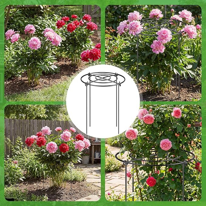 Peony Cages and Supports 8 Pack, 12x16 Inch Heavy Duty Metal Plant Cage for Outdoor Plants – Grow Through Flower Support Rings for Peonies, Roses, Tomatoes & Hydrangeas
