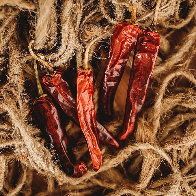 Mulato Mexican Chile Pepper - 25 Seeds - Heirloom & Open-Pollinated Variety, USA-Grown Chili Seeds, Non-GMO Vegetable Seeds for Planting Outdoors in The Home Garden, Thresh Seed Company