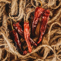 Mulato Mexican Chile Pepper - 25 Seeds - Heirloom & Open-Pollinated Variety, USA-Grown Chili Seeds, Non-GMO Vegetable Seeds for Planting Outdoors in The Home Garden, Thresh Seed Company