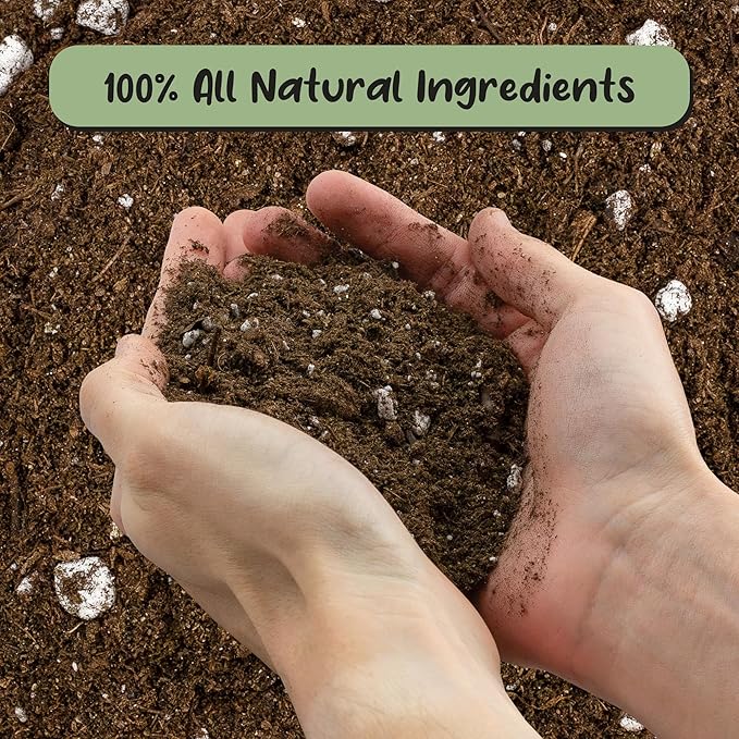 Soil Sunrise Elephant Ear Potting Soil Mix (8 Quarts) Colocasia and Alocasia Potted Plant Blend