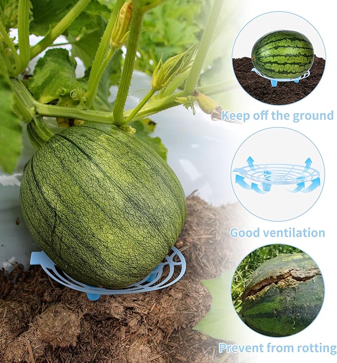 15 Pack Melon Cradle for Garden Pumpkin Support Stand Trellis,Avoid Ground Rot,Plastic Plant & Garden Support for Pumpkin Watermelons Squash Strawberries(Blue)