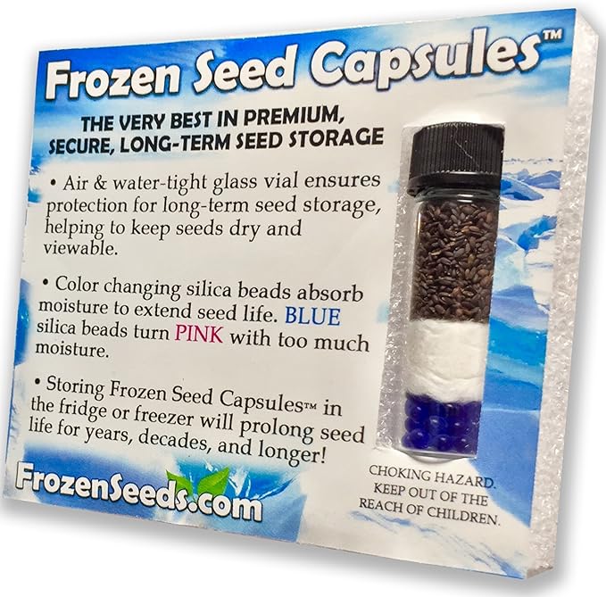 Frozen Seed Capsules - Stevia (Stevia rebaudiana) - Grow Now or Store for Future Planting - Capsule of 10 Seeds