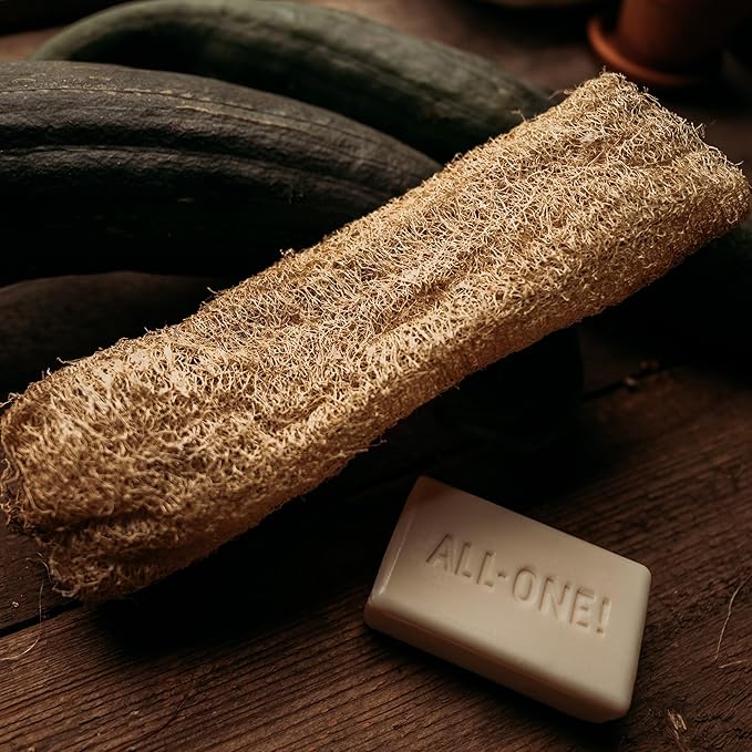 Luffa Gourd - 25 Seeds - Heirloom Loofah Variety, Make Your Own Dishclothes, Non-GMO Heirloom Gourd Seeds for Planting in The Home Garden, Thresh Seed Company