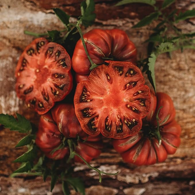 Noire de Coseboeuf Scalloped Purple Tomato - 50 Seeds - Heirloom Tomato Variety, Non-GMO Vegetable Seeds for Planting in The Home Garden, Thresh Seed Company