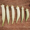 Silver Queen Okra - 50 Seeds - Rare Heirloom Okra Variety, Smooth White Pods, Non-GMO, Heirloom Seeds for Planting in The Home Garden, Thresh Seed Company