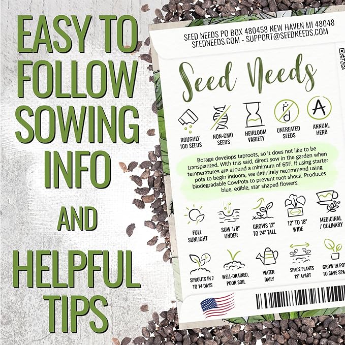 Seed Needs Borage Seeds for Planting White Borago officinalis Starflower - Non-GMO Heirloom & Untreated Herb Seed to Plant and Grow an Outdoor Home Grown Garden (5 Packs)