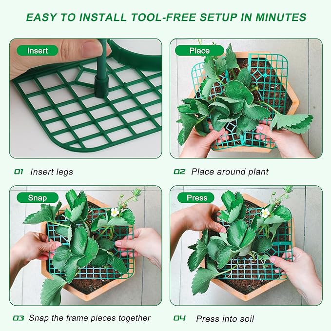 Strawberry Plant Supports, 10 Pack Square Frames Keep Strawberries Off Ground, Garden Holders for Cleaner Strawberry Fruit & Easier Harvest