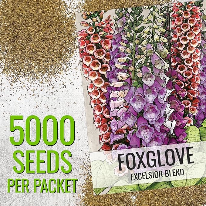 Seed Needs Excelsior Foxglove Seeds for Planting Mixed Fox Gloves - Heirloom & Open Pollinated Flowers to Plant an Outdoor Butterfly Garden with Colorful Wildflowers (2 Packs)