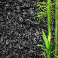 Horticultural Charcoal for Plants – Organic Bio Char Soil Amendment for Terrariums, Indoor Plants & Gardening, Made in USA (1 Quart)