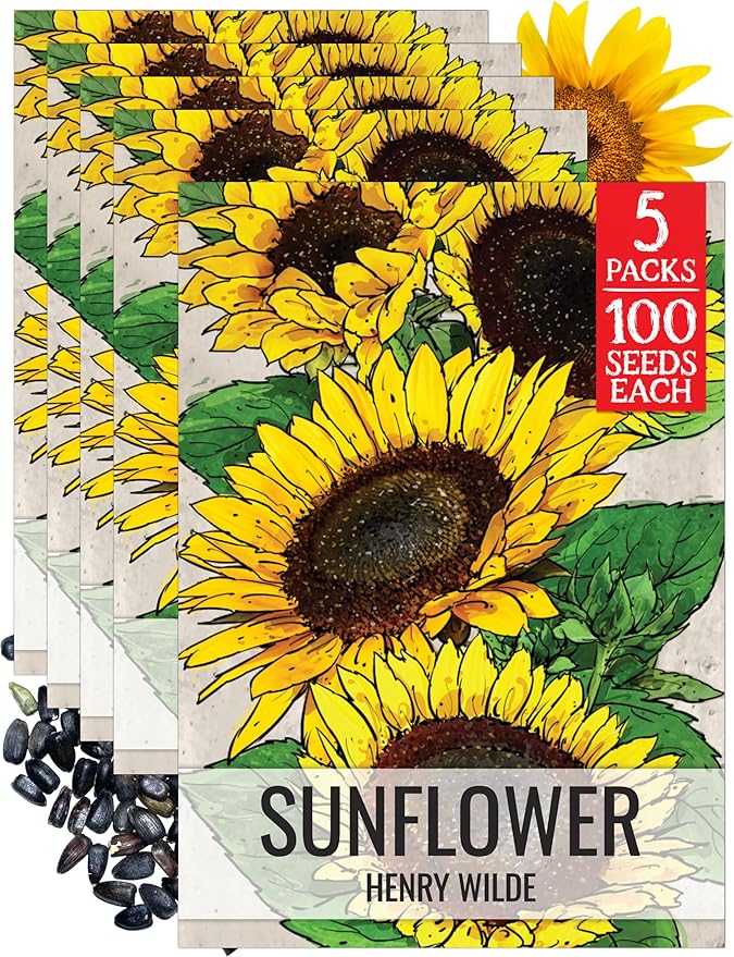Seed Needs Henry Wilde Sunflower Seeds for Planting - Heirloom & Open Pollinated Cut Flowers - Annual Wildflowers to Grow a Butterfly Garden (5 Packs)