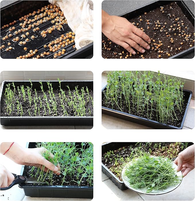 Mr. Pen- Plastic Growing Trays, 5Pack, Black, 17x10, Plant Tray, Seed Tray, Seedling Tray, Propagation Tray, Plant Trays for Seedlings, Planting Trays, Microgreens Growing Trays, Seedling Starter Tray