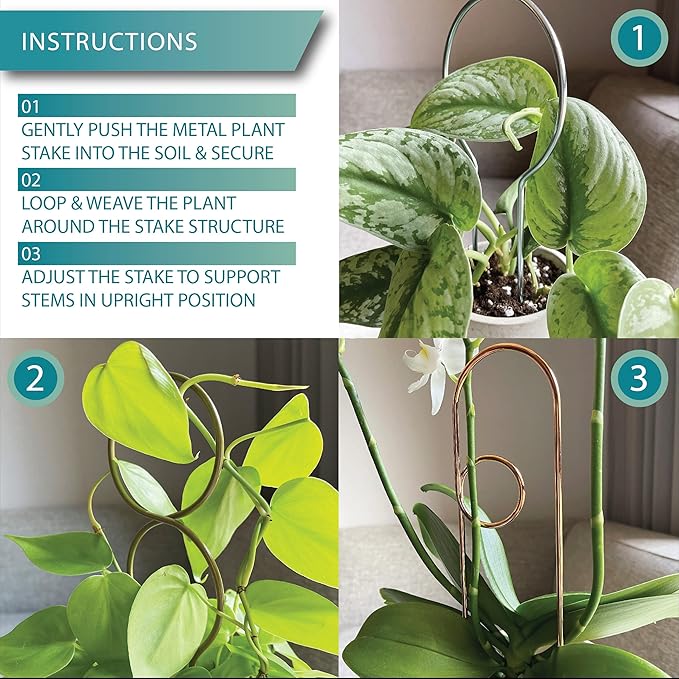 Small Metal Trellis for Indoor Plants Metal Plant Stake for Climbing House Plants Plant Support for Potted Plants Orchids, Monstera, Pothos, Ivy, Hoya Set of 4 Mushrooms (Brushed Gold)