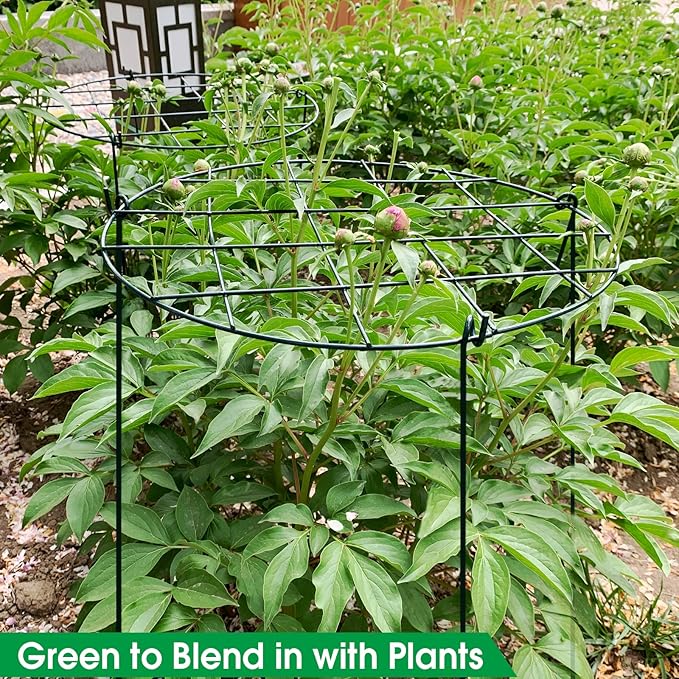 3 Pack 16 x 24 Inch Peony Support Cage Grow Through Plant Supports for Outdoor Plants Peony Ring Hoop Grow Through Grid Stakes