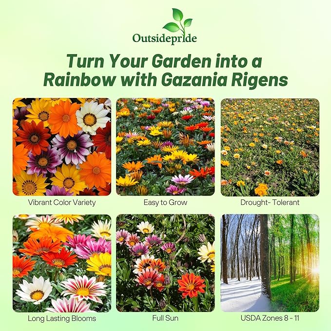 Outsidepride New Day Mixed Gazania Seeds for Planting – 50 Pcs Perennial, Low-Maintenance, Drought-Tolerant Ground Cover Seeds for Vibrant Summer & Fall Flowers, Great for Outdoor Gardens
