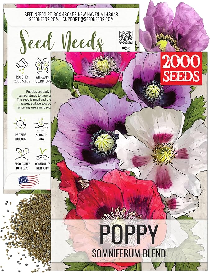 Seed Needs Mixed Somniferum Poppy Seeds for Planting - Heirloom & Open Pollinated Annual Flowers - Colorful Masses of Wildflowers, Perfect for a Butterfly Garden (1 Pack)