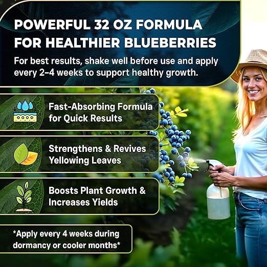 Leaves and Soul Professional Blueberry Fertilizer Liquid Concentrate - 6-4-6 Blend Liquid Garden Fertilizer for Blueberry - Plant Food for Blueberry Bushes and Plants - 32oz