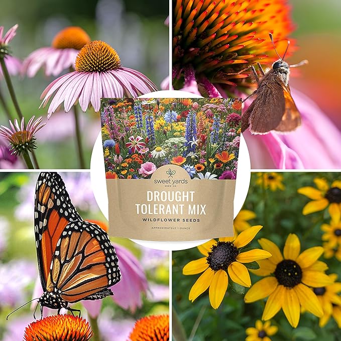 Drought Tolerant Wildflowers Mix – Extra Large Packet – Over 7,500 Open Pollinated Non-GMO Seeds – 21 Different Dryland Species