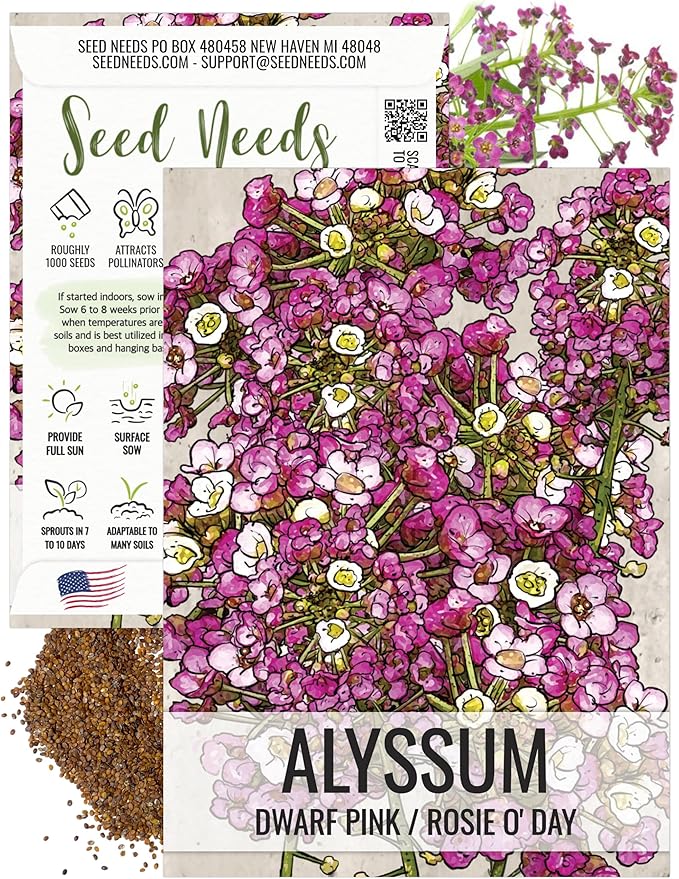 Seed Needs Dwarf Pink Alyssum Seeds for Planting - Heirloom & Open Pollinated Flower Seed to Plant Low Growing Tender Perennial Flowers for Rock Gardens, Pots & Containers (1 Pack)