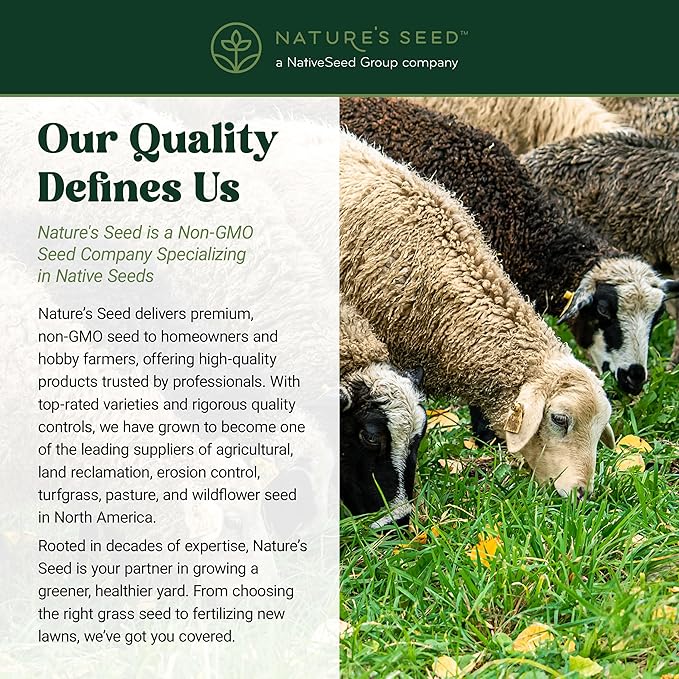Nature's Seed Northern Sheep Forage Mix, Cattle Pasture Grass Seed Cool-Season Blend, Nutrient-Rich, 10 lbs