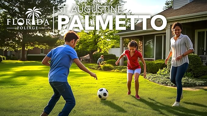 St. Augustine Palmetto | 72 Live Extra Large Grass Plugs | Drought, Salt & Shade Tolerant Turf Sod | for Healthy Lawns