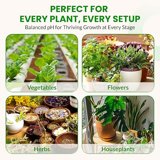 Humboldts Secret pH Down for Plants | Liquid pH Adjuster and Balancer for Soil Coco Hydroponics | Concentrated Phosphoric Acid Solution Supporting Nutrient Uptake and Strong Growth | 8 Ounce