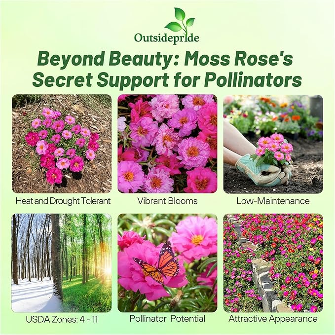 Outsidepride Pink Mixed Moss Rose Seeds - 250 Pcs Annual, Drought & Heat Tolerant, Pollinator Friendly Ground Cover Seeds for Planting w/Vibrant Blooms & Succulent Foliage, Ideal for Xeriscaping