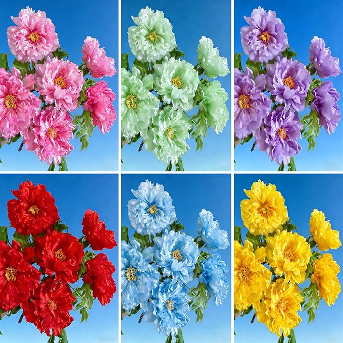 Double Peony Hibiscus grandiflorus Seeds for Planting, 206+pcs Rare Perennial Giant Hibiscus Grandiflorus Flower Seeds Plants, Non-GMO Heirloom Beauty Blooms Flowers for Home Garden Outdoors