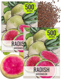 Seed Needs Radish Seeds for Planting Watermelon Radishes - Non-GMO Heirloom & Untreated - Grow a Home Grown Vegetable Garden - Cool Weather Crops (2 Packs)