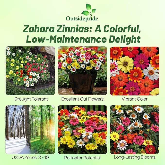 Outsidepride Zahara Mix Zinnia Seeds - 50 Pcs Annual, Heat & Drought Tolerant Flower Seeds for Planting w/Vibrant Blooms for Pollinator Gardens & Floral Arrangements