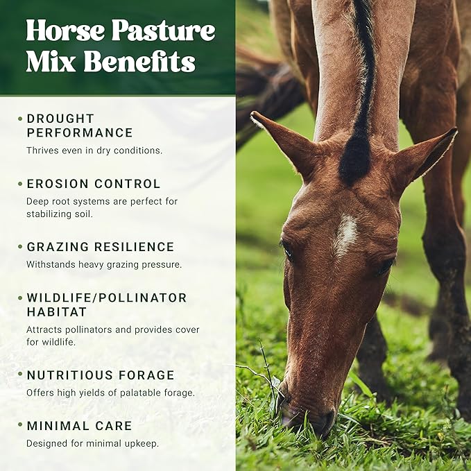 Nature's Seed Northern Horse Forage Mix, Equine Pasture Grass Seed Nutrition Blend, 10 lbs