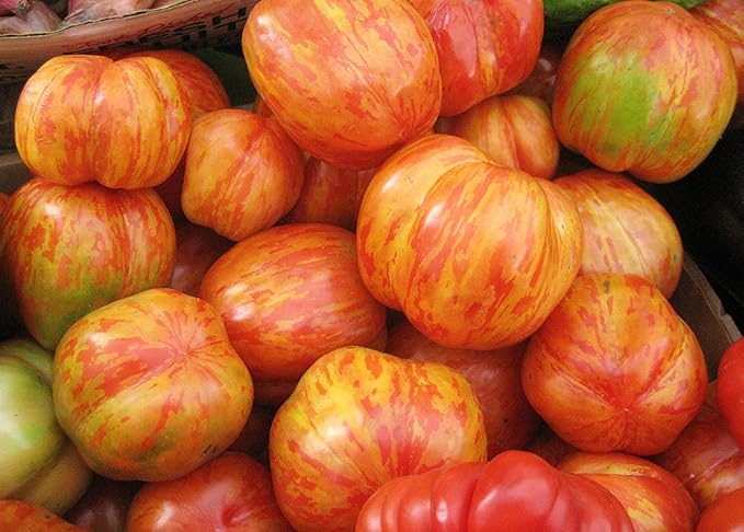 NIKA SEEDS - Seeds Vegetable Beefsteak Giant Tomato Tigerella - 50 Seeds