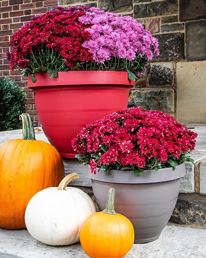 The HC Companies Rings Flower Planter - Self Watering Plant Pots for Herbs & More - Round Lightweight Outdoor & Indoor Planter (8" Warm Red, Pack of 1)