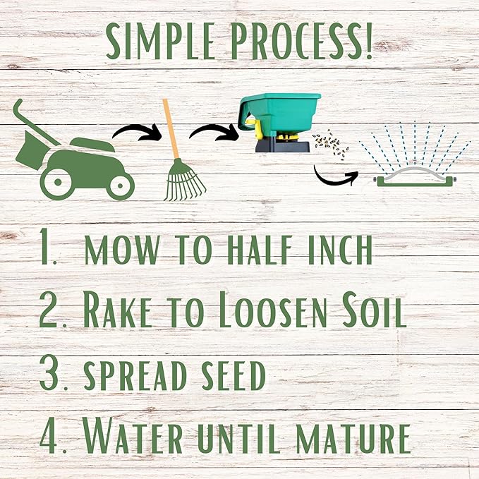 Flawn Seed Kits Micro Clover Seed + Mow Less Fine Fescue Grass, Low Maintenance, Eco-Lawn, Covers up to 500 Sqft