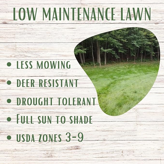 Flawn Seed Kits Simple Lawn Mow Less Fine Fescue Grass Seed, 2 Lbs, Low Maintenance Lawn, Shake to Spread, Covers up to 1000 SqFt