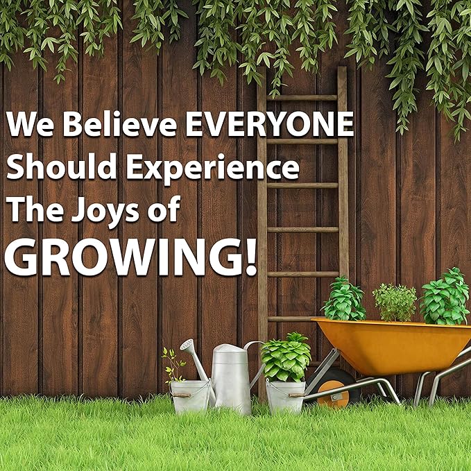 Broccoli Raab 0.25 Oz ~2,120 Seeds—Early Fall Rapini—Brassica rapa ruvo—Heirloom, Non-GMO Days to Harvest—Cool-Season Crop for Spring/Fall—Open Pollinated—Garden or Container