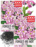 Seed Needs Pink Forget Me Not Seeds for Planting Myosotis Flowers - Heirloom & Open Pollinated Wildflowers to Plant an Outdoor Butterfly Garden to Attract Pollinators (2 Packs)