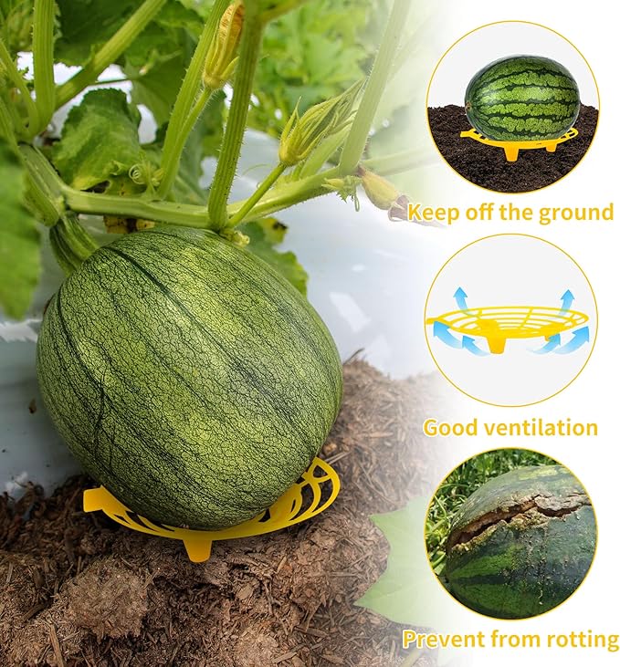 15 Pack Melon Cradle for Garden Pumpkin Support Stand Trellis,Avoid Ground Rot,Plastic Plant & Garden Support for Pumpkin Watermelons Squash Strawberries(Yellow)