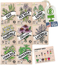 Sustainable Sprout Medicinal Tea Seeds, 8 Variety Pack Herbal Tea Heirloom Seeds, Catnip, Lavender, Peppermint, Lemon Balm, Bee Balm, Echinacea, Sage & Chamomile for Planting, Homesteading Essentials