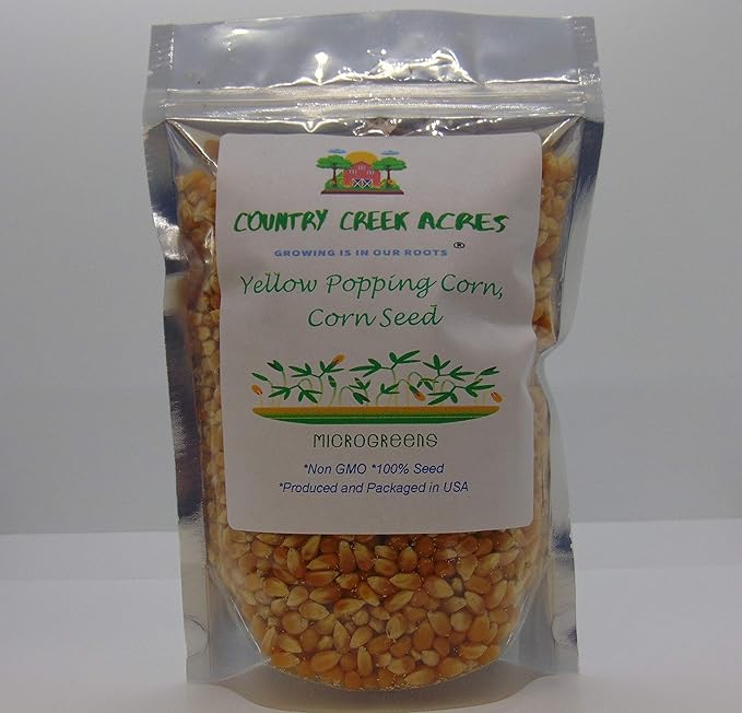 2 oz Yellow Popping Corn, Corn Seed for Growing, Heirloom, Open Pollinated Non-GMO Garden Seeds by Country Creek Acres, Grown in USA, Microgreen Seed