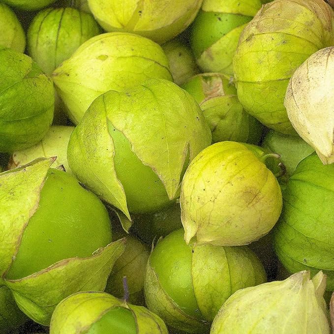 Grande Rio Verde Tomatillo Seeds – 1/4 Oz (~2,500 Seeds) – Non-GMO, Heirloom, Productive Green Tomatillo Variety – Ideal for Salsa, Sauces, and Home Vegetable Gardens