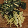 Golden Sweet Yellow Snow Pea - 50 Seeds -Rare Heirloom Climbing Pea Variety, Easy-to-Grow & Cold-Tolerant, Non-GMO Vegetable Seeds for Planting Outdoors in The Home Garden, Thresh Seed Company