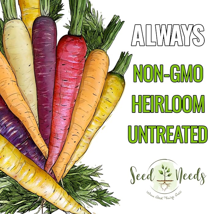 Seed Needs Carrot Seeds for Planting Rainbow Carrots - Non-GMO Heirloom & Untreated Veggie Seed to Grow a Home Grown Vegetable Garden in Fall or Spring (5 Packs (4,000 Seeds))